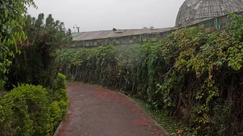 A Serene Trail through Sariska’s Wild Heart jungle safari Stock Footage 296580909