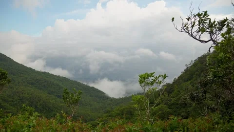 Serene tranquil footage of cloudscape between forest mountains. Video stock 304051088