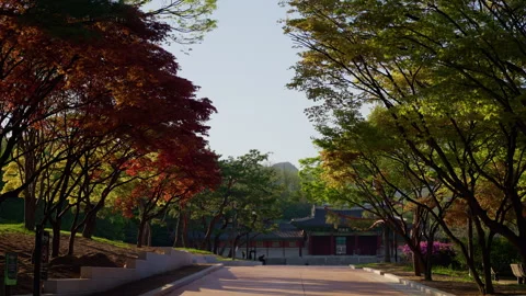 Serene tree-lined pathway leading to a traditional architectural structure under Vídeos de archivo 310351443