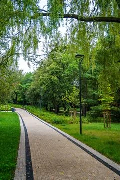 Serene Tree-Lined Pathway in Lush Green Park on a Cloudy Afternoon Stock Photos