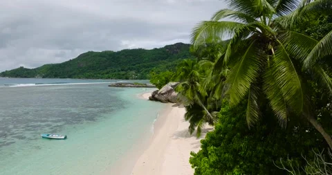 Serene tropical beach lined with palm trees and calm waves. Seychelles, Mahe. 스톡 동영상 345381727