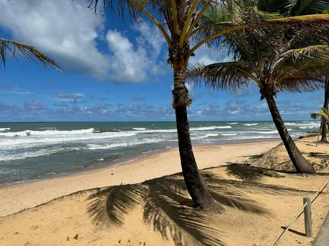 Serene tropical beach scene Stock Photos