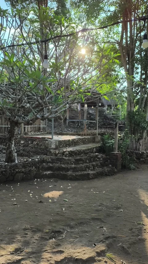 Serene Tropical Garden with Stone Steps and Golden Hour Sun Flare Stock Footage 340464530