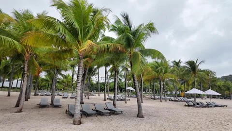 Serene Tropical Resort, Cloudy Beach Bliss Stock Footage 264813247