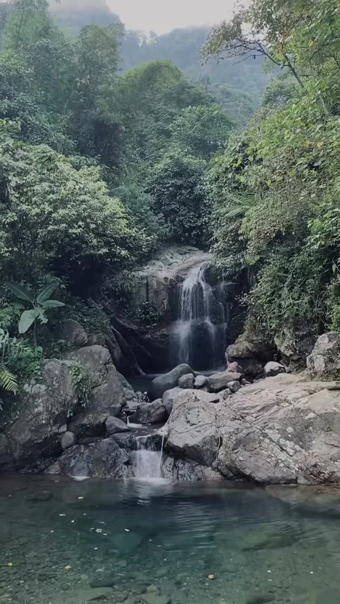 Serene Tropical Waterfall Cascading into Clear Rocky Pool Stock-Footage 339883575