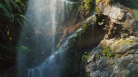 Serene tropical waterfall cascading down moss-covered rocky cliff Stock-Footage 275611708