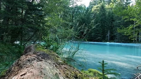 Serene turquoise river flowing through a lush evergreen forest. Stock Footage 302308899