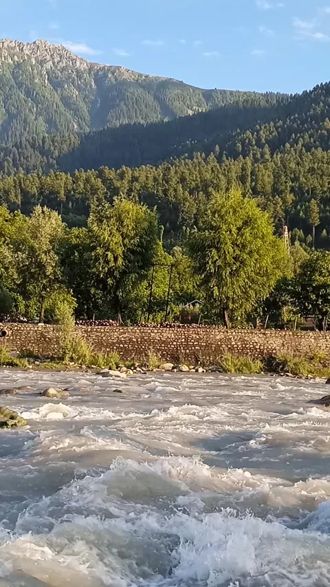 Serene Turquoise River Flowing Through Lush Green Forest Kashmir with Mountains Stock Footage 337456676
