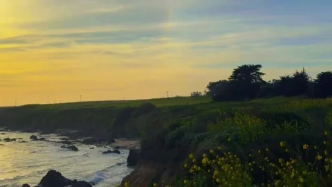 A serene video of a sunset over a cliffside with vibrant wildflowers and a Stockbeeldmateriaal 333021808