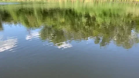 Serene view of a calm lake surface reflecting lush green trees and a bright blue Stockbeeldmateriaal 345662984