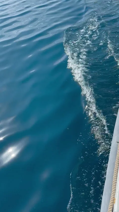 A serene view of calm waters with gentle ripples Stock Footage 314849636