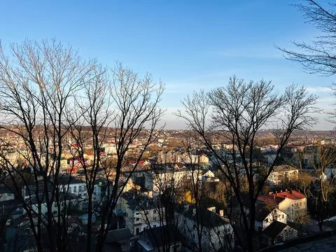 A serene view of a cityscape through leafless trees during a clear day Stock Photos