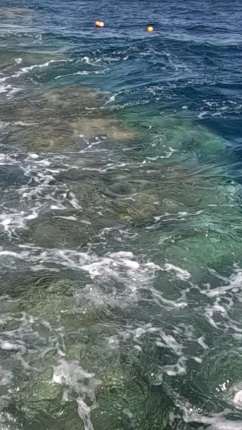 A Serene View of Crystal-Clear Waters with Gentle Waves Lapping over Vibrant 库存影片 330113768