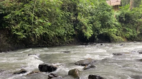 Serene view from the edge of Ciujung River, West Java, Indonesia Stock Footage 312396972