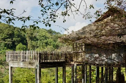 A serene view of an elevated house in a forest, the house offers stunning n.. Foto stock