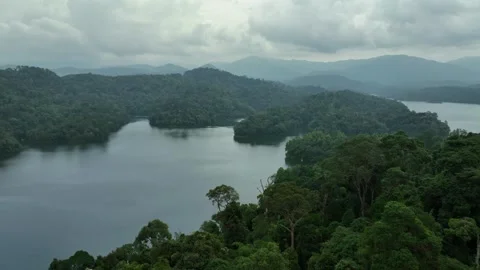 Serene View of Forested Mountains and Calm Lake Under Cloudy Sky Stock Footage 311575199