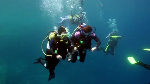 Serene view of group of paddle divers in gear water is simply breathtaking. Stock Footage 235770609