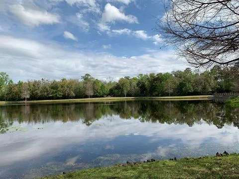 Serene view of the lake Stock Photos