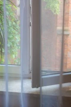 A serene view of an open window with sheer curtains gently swaying, creating a Stock Photos