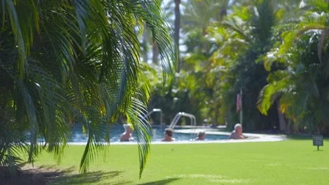 A serene view of a pool surrounded by lush tropical greenery during a sunny.. Stock Footage 285882162