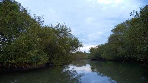 Serene view of a river and its surroundings while taking a slow boat ride, India 動画素材 120836370