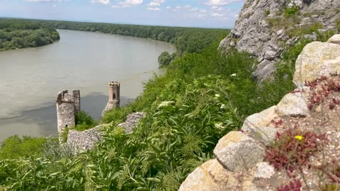 A serene view of a river surrounded by lush green forests and distant hills. Vidéo 300040665