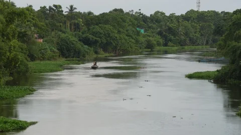 A serene view of river surrounded by lush green vegetation Stock Footage 316233449