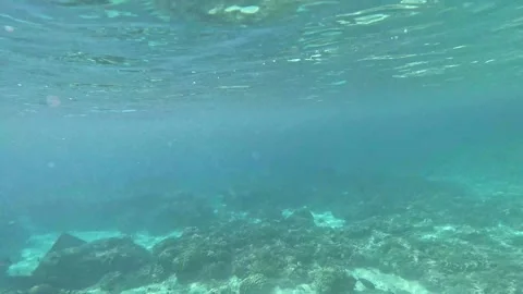 Serene view of the sandy seabed adorned with rocks  at Ad Dimaniyat Islands Stock Footage 295076580