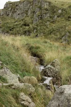 A serene view of a small mountain stream flowing through a grassy terrain Stock Photos