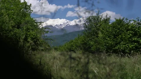 Serene view of small orchard field in rural countryside. Stock-Footage 336326812