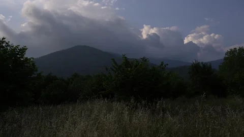 Serene view of small orchard field in rural countryside. Stock-Footage 336392973