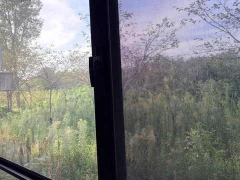 "Serene View Through a Screened Window" 스톡 사진