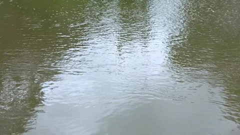 Serene view of a tranquil pond with gentle ripples reflecting the sky and s.. Stock Footage 340221623
