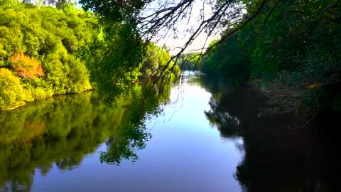 Serene View Of Ulla River . Sideways Shot Vidéo 319390558