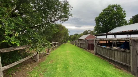 Serene village path Video stock 143650193