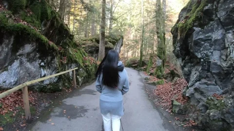 Serene Walk Through a Forest Path Stock Footage 314616475