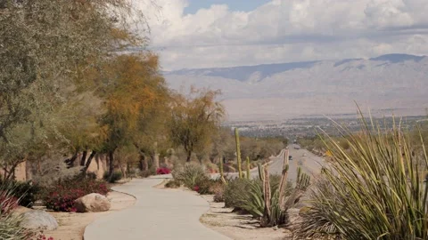 Serene walking path leading to downtown palm desert, california Stock Footage