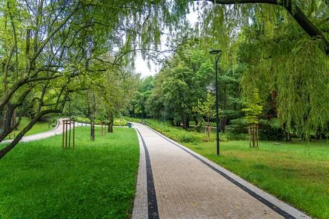 Serene Walking Path Through Lush Greenery in a City Park During Late Spring Stock Photos
