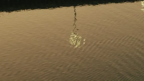 Serene water reflection at dawn in a tranquil harbor setting Stock Footage 316112737