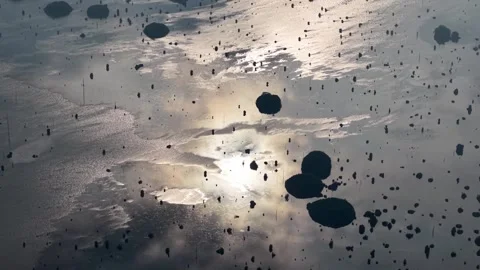 Serene water reflects sunlight with floating debris Video stock 337732983