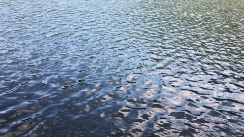 Serene water surface reflecting sunlight and subtle wave patterns Stock Footage 309886864