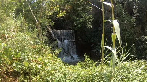 Serene Waterfall and Rocky Pool in Lush Green Fiumefreddo Bruzio Stock Footage 333105236
