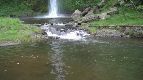 Serene Waterfall Cascading Into a Calm Forest Stream With Lush Foliage Stock Footage 304064022