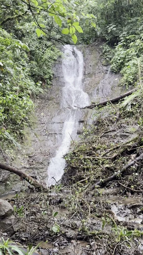 Serene waterfall cascading down rocky cliff in lush green forested valley Video stock 316793924