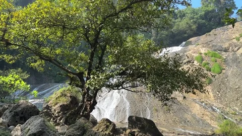 Serene Waterfall Cascading Down Rocky Slope, Lush Tropical Forest, Pan Stock-Footage 325646022