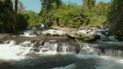 Serene waterfall cascading through lush green forest, creating Видео 281276199