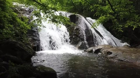 Serene Waterfall Cascading Through Lush Green Forest Stock Footage 301088178
