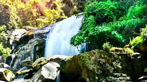 Serene Waterfall Cascading Through Lush Tropical Foliage Stock Footage 310418988