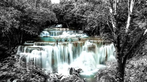 Serene Waterfall Cascading Through Lush Greenery in Monochrome Video stock 310419288