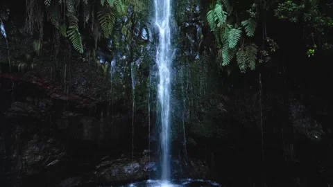 Serene Waterfall Cascading Through Lush Green Forest. Stock Footage 324506315